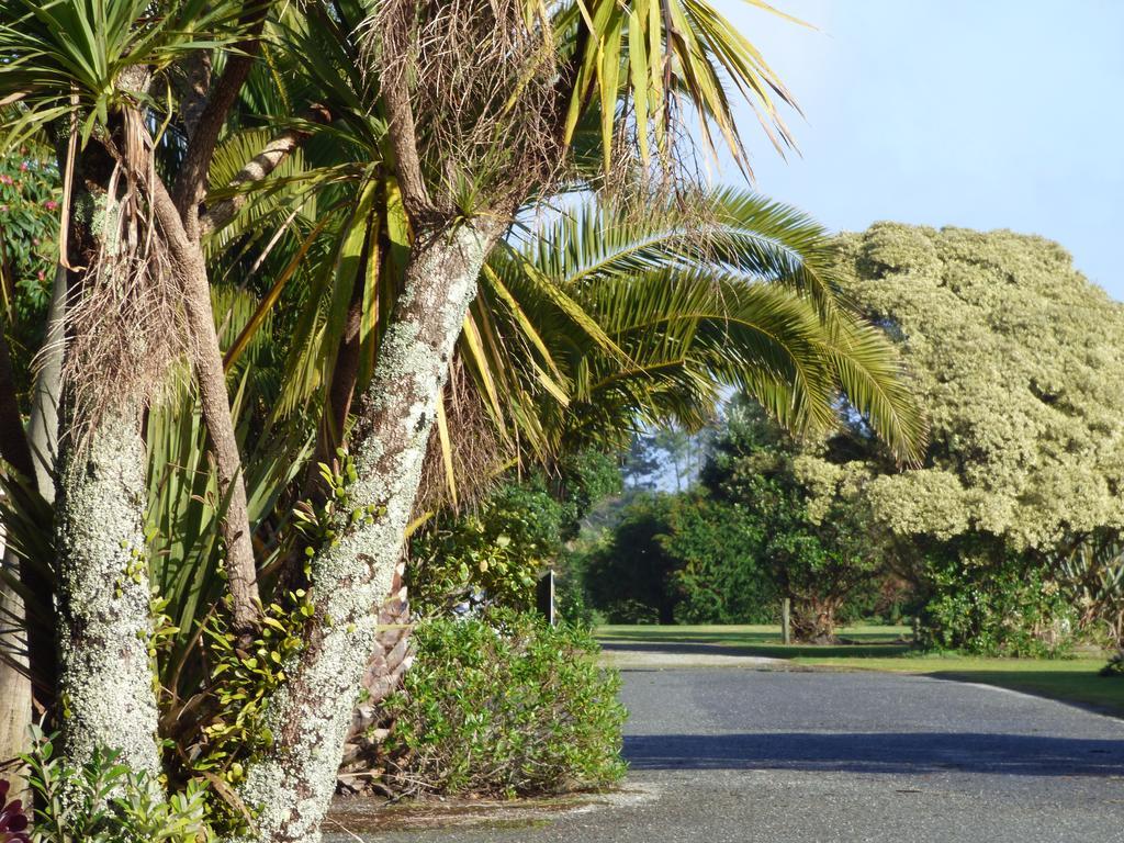 Carters Beach Top 10 Holiday Park Westport Buitenkant foto
