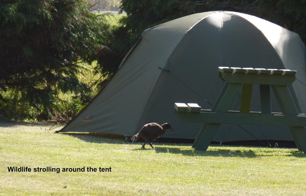 Carters Beach Top 10 Holiday Park Westport Buitenkant foto