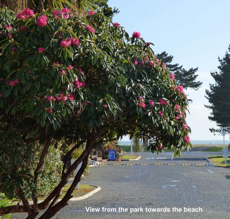 Carters Beach Top 10 Holiday Park Westport Buitenkant foto